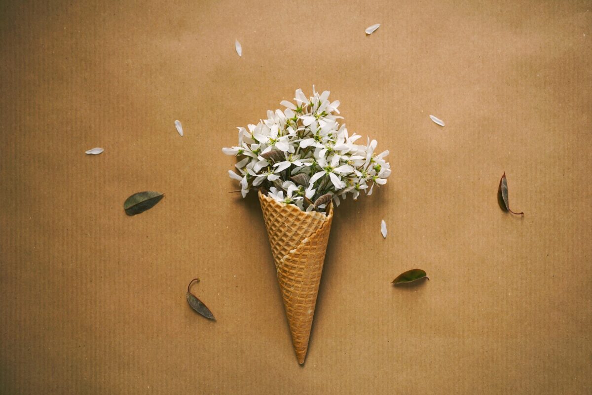 Blumen in Eiswaffel