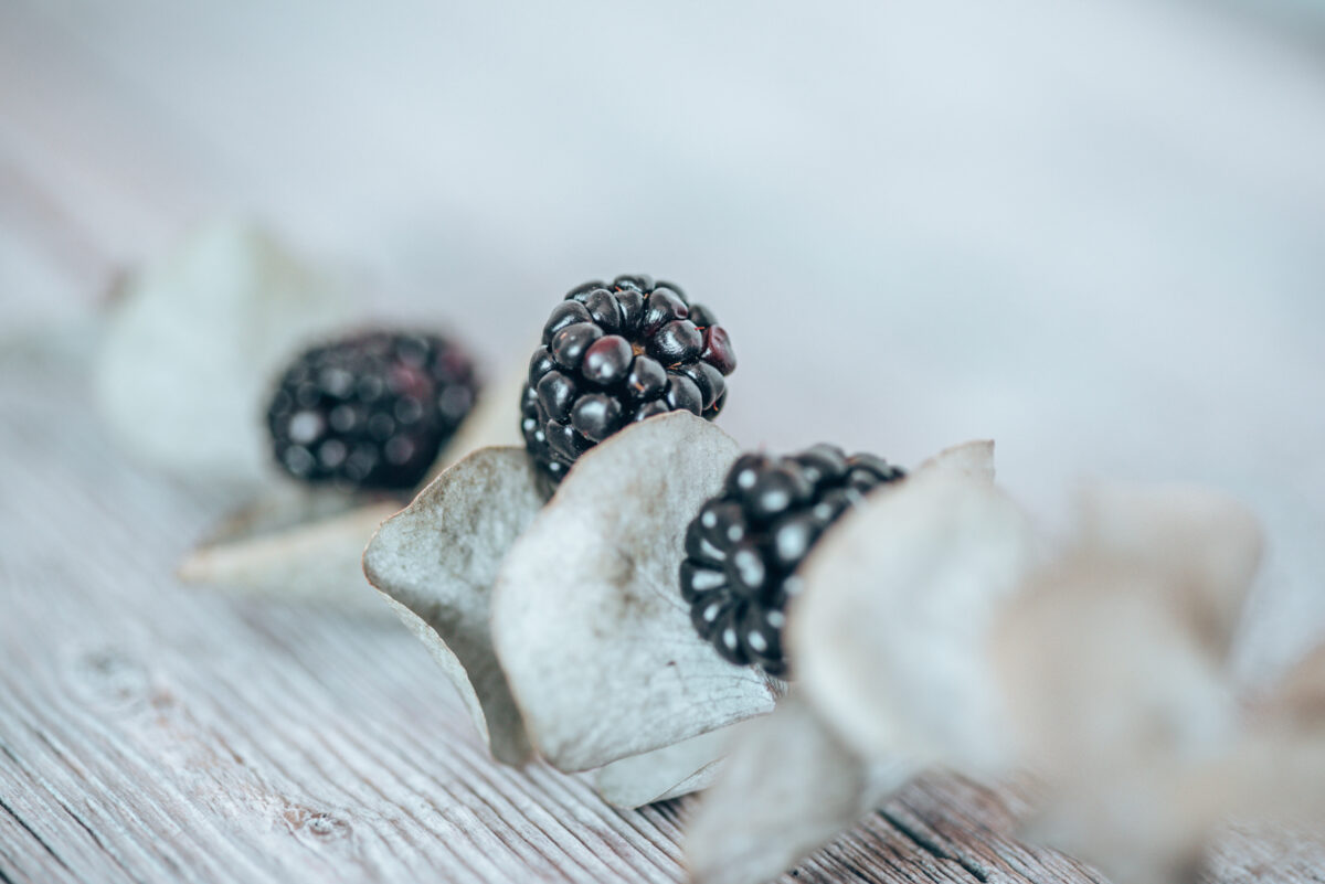 Brombeeren auf einem Eukalyptus