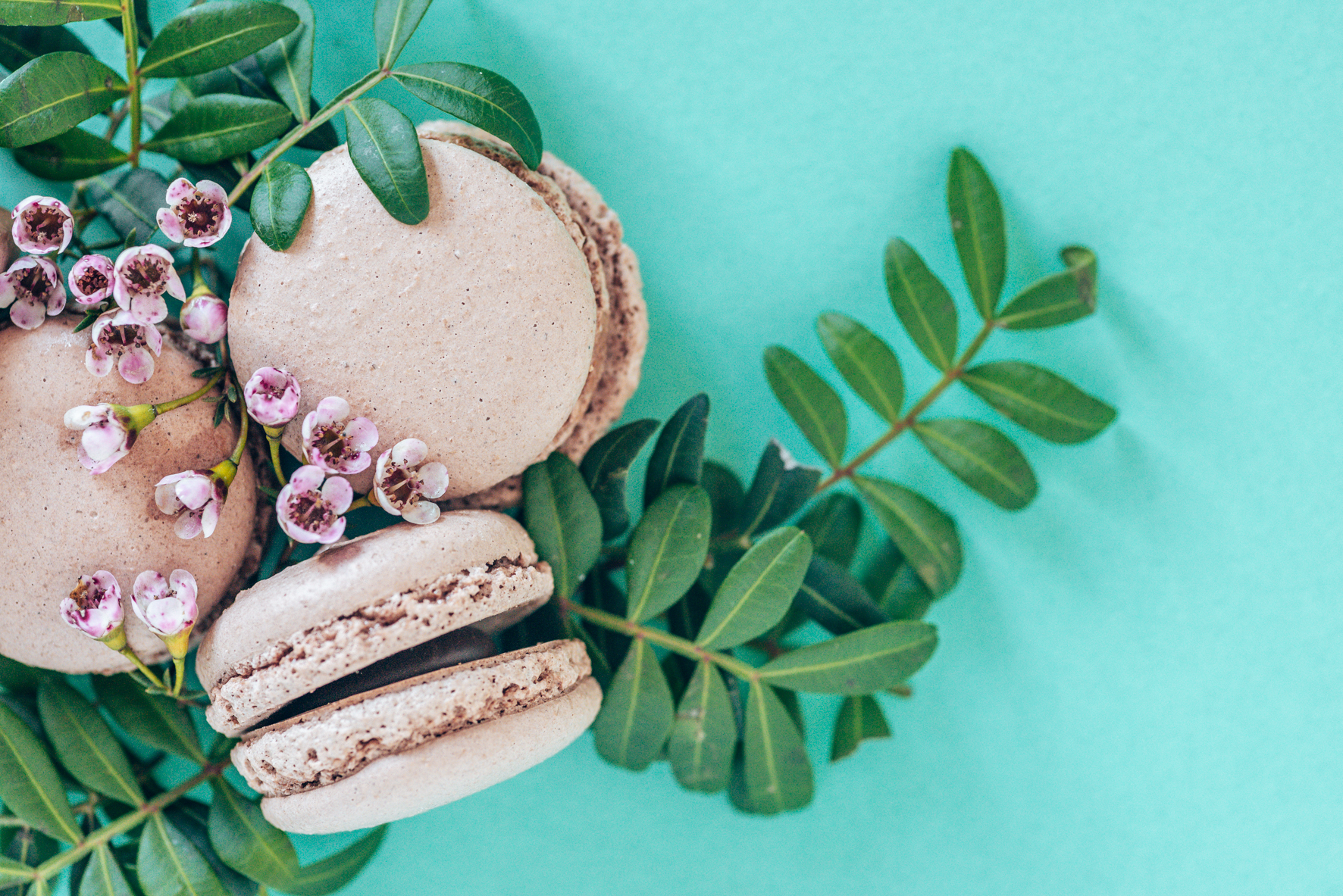 Macarons mit Blumen gestylt